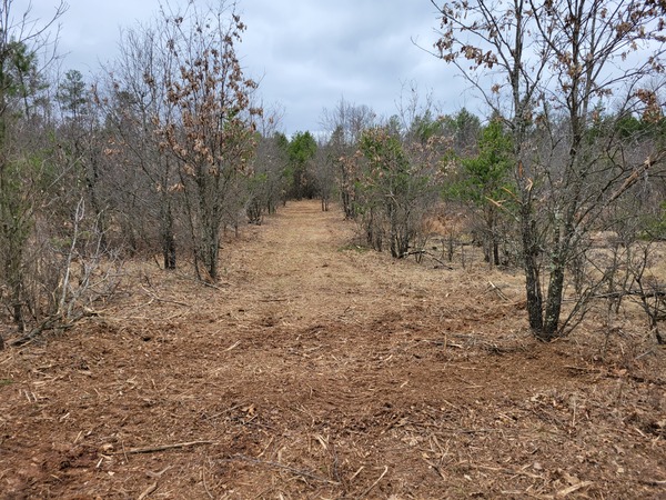 Trail clearing with trees removed and ground leveled with a skid steer